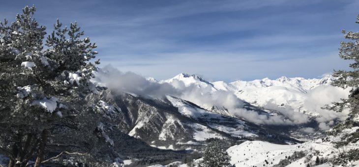 voeux
